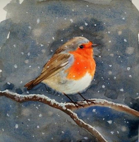 Christmas Robin Illustration, Robin Bird Painting, Robin Watercolour, Watercolour Robin, Beautiful Universe, Bird Painting Acrylic, Bird Paintings On Canvas, Star In The Sky, Christmas Robin