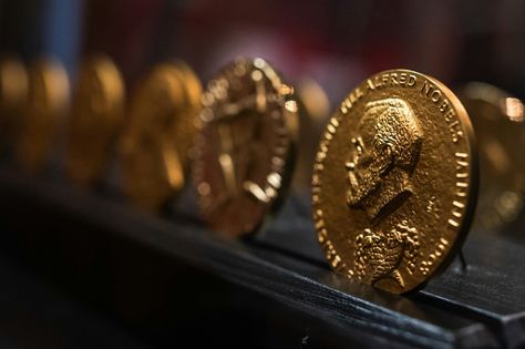 Bestseller or #DarkHorse for 2022 Nobel Literature Prize?: The Swedish Academy will #OnThursday announce the 2022 winner of the often-criticised Nobel Literature Prize, w... https://news.kisspr.com/2022/10/03/bestseller-or-dark-horse-for-2022-nobel-literature-prize_395690.html Tissue Biology, Alfred Nobel, Nobel Prize Winners, Marie Curie, Scientific Method, Nobel Prize, King Jr, Martin Luther King Jr, University Of California