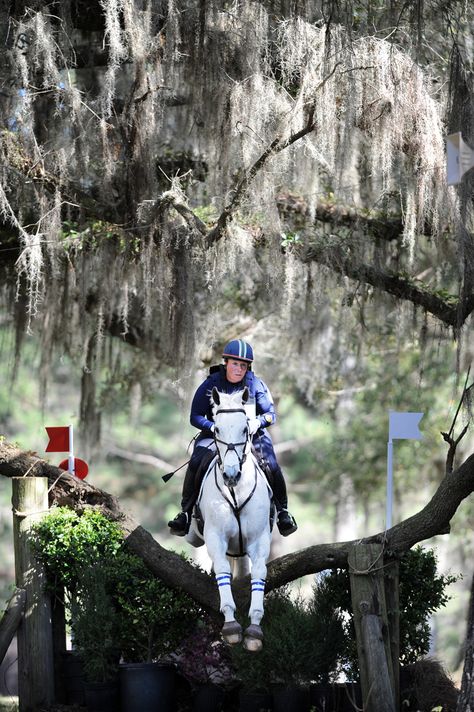 Becky Holder and her #OTTB, 13-year-old Can't Fire Me Xc Horse, Eventing Cross Country, Hunter Horse, Cross Country Jumps, Silly Words, Equestrian Aesthetic, Words Beautiful, Me Myself And I, Eventing Horses