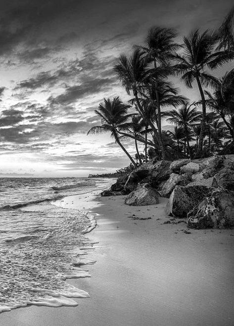 Designs Black And White, White Wallpapers, Photo Study, Ocean Waves Painting, Black And White Beach, Cloud Tattoo, Palm Tree Tattoo, Beach Tattoo, Landscape Sketch