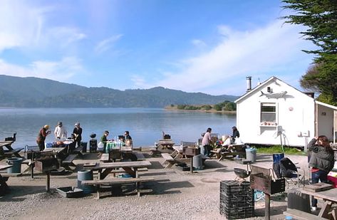 Weekend Getaway California, California Bucket List, Tomales Bay, Point Reyes National Seashore, Bodega Bay, Picnic Tables, Visit California, California Love, California Coast