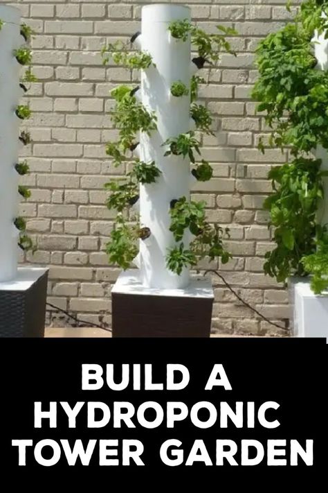 Hydroponic tower gardens are the best way to grow your food, especially if you live in an urban setting. They’re space-friendly and can be adjusted as per your requirements. It’s time to get your hands dirty and build a hydroponic tower garden. #HydroponicGardening #TowerGarden Vertical Garden Irrigation System, Diy Vertical Tower Garden, Diy Vertical Hydroponics System, Diy Hydroponic Garden Indoor Pvc, Vertical Hydroponic System, Aeroponic Gardening Diy, Hydroponic Vertical Garden Diy, Pvc Tower Garden Diy, How To Make Hydroponic System