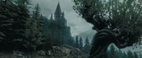 from: prisoner of azkaban Harry Potter Phone Theme, Fantastic Beasts Hogwarts, Whomping Willow, Harry Potter Phone, Dark Academia Wallpaper, The Prisoner, The Prisoner Of Azkaban, Hogwarts Aesthetic, Academia Wallpaper