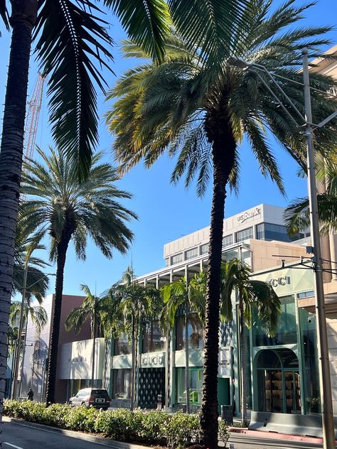 That morning sunshine hits different on Rodeo Drive ☀️ #OnlyOnRodeo

Palm Trees, Sunshine, LA, Summer Things to Do, Luxury Shopping Rodeo Drive Aesthetic, La Summer, Summer Things, Hits Different, Rodeo Drive, Luxury Shopping, Boutique Design, Luxury Shop, Beverly Hills