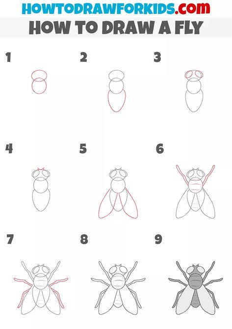 Easy Insect Drawings, How To Draw A Fly, How To Draw Dragonfly, How To Draw A Snail, Fly Drawing Easy, Draw A Fly, Insect Doodles, How To Draw Bugs, Mushroom Mural