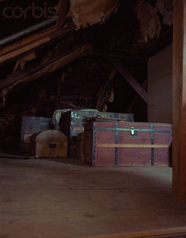 Chests in the attic Creepy Attic, Attic Library, Attic Organization, Garage Attic, Attic Office, Bly Manor, Attic Renovation Ideas, Attic Lighting, Flowers In The Attic