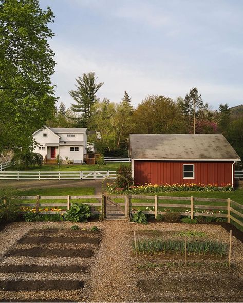 Houses On Farms Land, Future House Farm, Corn Farm Aesthetic, Farmhouse Vibes Aesthetic, Farmhouse Cottage Landscaping, Dream Yard Country Living, House In Open Field, Homestead Woman Aesthetic, Cottage On A Farm