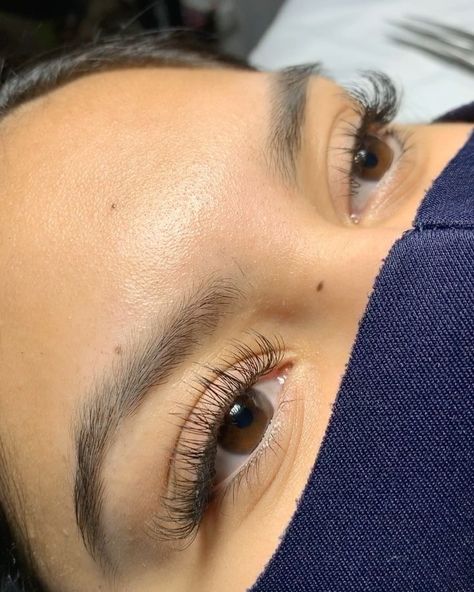 Brow Lash, Super Natural, Eyelash Extension, Natural Look, Lash Extensions, Eyelash Extensions, Medium Length, Eyelashes, Love Her