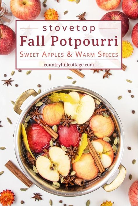 Fall Stovetop Potpourri, Stove Potpourri, Potpourri Recipe, Fall Potpourri, Homemade Potpourri, Simmer Pot Recipes, Stove Top Potpourri, Simmering Potpourri, Homemade Air Freshener