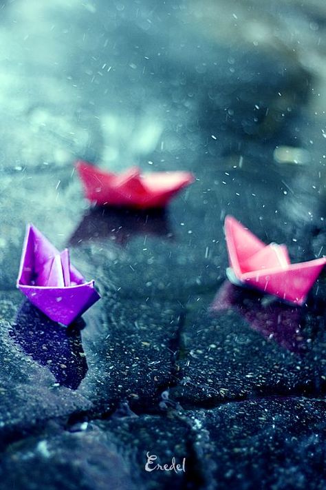 create the beauty in the storm Origami Boats, In The Rain, The Rain, Boats, Origami, Floating