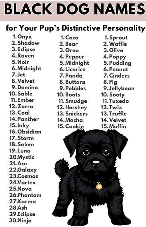 Got a new black puppy? Find the perfect name to match their unique personality! This list of 30+ top black dog names includes everything from classic to quirky. Discover the ideal name for your furry friend! Want more dog tips? Follow me for daily doses of dog-loving content! Black Dog Names, Puppy Find, Black Puppy, Dog Tips, Canine Companions, Black Dog, Dog Names, Best Friend, Follow Me