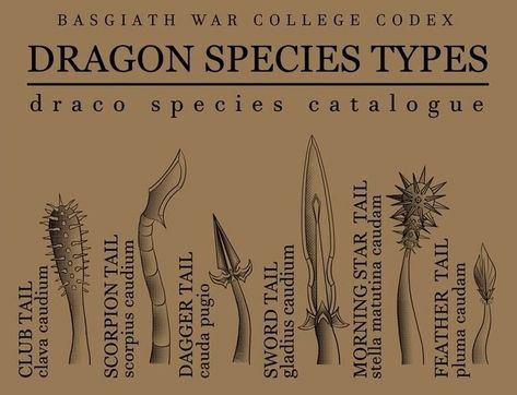 Dragon | The Empyrean Wiki | Fandom The Fourth Wing, Book Knowledge, Dragon Species, Dragon Tails, Wings Quotes, The Empyrean, Wings Book, Dragon Names, Writing Station