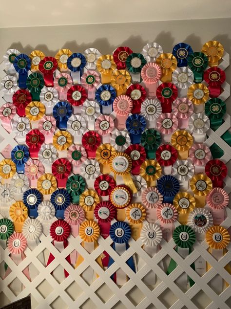 Dog Show Rosettes Ribbon Display, Horse Back Riding Ribbons Display, How To Display Horse Show Ribbons, Displaying Ribbons Awards, What To Do With Horse Show Ribbons, Horse Show Ribbon Ideas, Equestrian Ribbon Wall, Rosette Ribbon Display, Horse Rosette Display