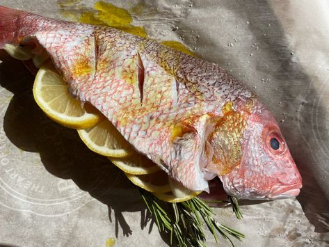 How to Cook a Whole Fish in the Oven Cooking Whole Fish In Oven, How To Cook A Whole Fish, Baking Whole Fish In Oven, Whole Snapper Fish Recipes Baked, Hogfish Recipe, Tile Fish Recipe, Fish In The Oven, Cod In The Oven, Fish In Foil Packets