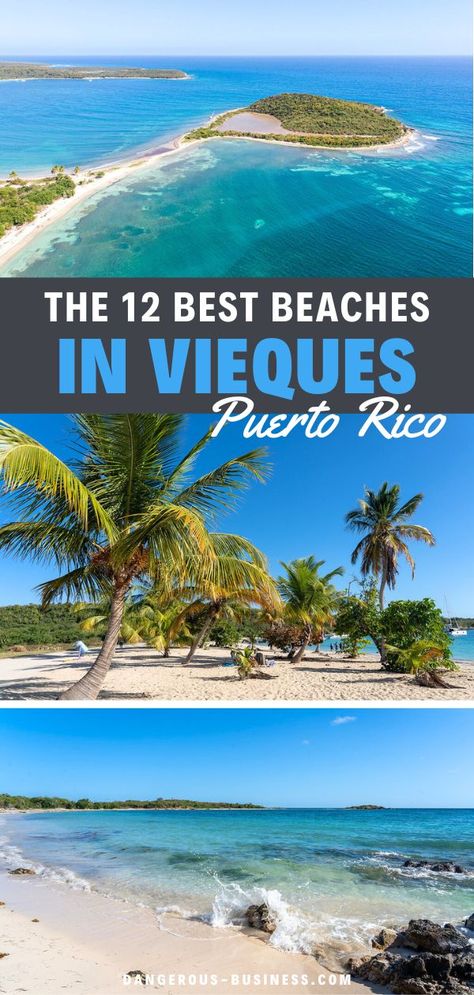 12 Best Beaches in Vieques, Puerto Rico You Need to See for Yourself. Fun things to do in Vieques, Puerto Rico! Find the best places to eat and stay! From Vieques, Puerto Rico hotels, resorts, and more. Enjoy snorkeling the Vieques, Puerto Rico's bioluminescent bay, and other beach activities. #Vacation #PuertoRico Bioluminescent Bay Puerto Rico, Puerto Rico Hotels, Beautiful Places In The Us, Vieques Puerto Rico, Getaways For Couples, Puerto Rico Island, Weekend Getaways For Couples, Bioluminescent Bay, Puerto Rico Travel