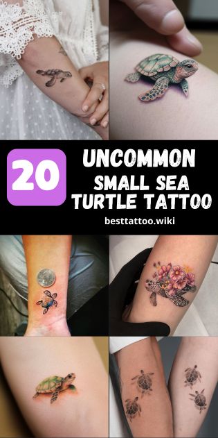 Explore our handpicked collection of 20 small sea turtle tattoo ideas for 2024, perfect for both men and women. From the minimalist outlines to colorful aquatic scenes, find the ideal design that resonates with your style. Whether it’s a delicate ankle tattoo, a whimsical wrist piece, or a meaningful match with a loved one, these tattoos blend simplicity with deep symbolism. Anchor And Turtle Tattoo, Unique Sea Turtle Tattoo, Family Turtle Tattoo Ideas, Cute Turtle Tattoos For Women, Small Sea Tattoos For Women, Sea Turtle Family Tattoo, Green Sea Turtle Tattoo, Small Turtle Tattoos For Women, Turtle Foot Tattoo