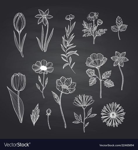 Chalk Calendar, Chalkboard Art Wedding, Scratch Art Ideas, Chalk Drawing Ideas, Drawing Ideas Flowers, Chalk Wall Art, Chalk Markers Art, Flowers Doodles, Blackboard Ideas