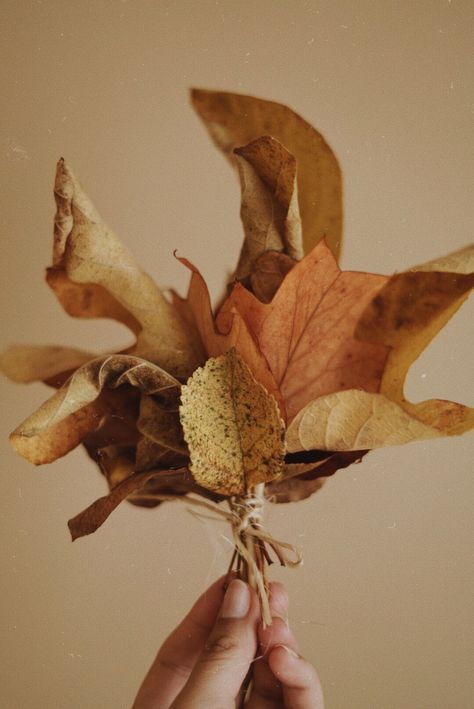 Fall Leaf Bouquet, Autumn Leaves Bouquet, Fall Leaves Bouquet, Midnight Pumpkin, Pumpkin Bouquet, Leaves Bouquet, Leaf Bouquet, Sycamore Leaf, Leaves Photography