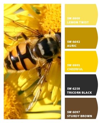 Bumble Yellow Bee Coloring Pages, Color Palette Yellow, Bee's Knees, Color Palette Design, Colour Board, Yellow Painting, Paint Colors For Home, Exhibition Space, Hotel Design