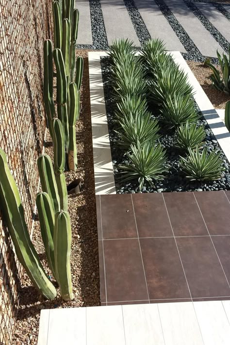 The yucca plants in this yard have their own planter box to make the spaces for each type of plants defined. Behind the yucca, there are cacti lining the gabion wall. Each of these species of plant are drought resistant, so they will not need much water in the coming summer heat. Apartemen Studio, Kaktus Dan Sukulen, Front Yard Design, Front Yard Garden Design, Modern Landscape Design, Front Landscaping, Front Yard Garden, Landscaping Tips, Yard Design