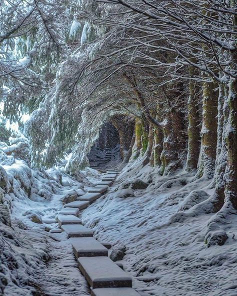 inspiration & appreciation of beautiful Ireland instagram.com/ireland_travel County Wicklow, Winter Magic, Winter Scenery, Winter Beauty, Snow Scenes, Winter Pictures, Winter Wonder, Winter Landscape, Photography Nature