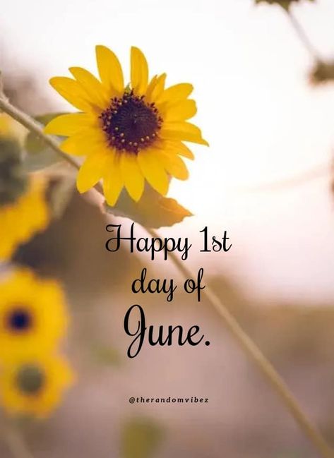 Good morning and welcome to June! Let’s make this month unforgettable! #KeepRunningWithPurpose #helpingotherssucceed #helpyourself #nothingchangesifnothingchanges Happy New Month June Quotes, Happy June 1st, 1st Of June Quote, 1st June Quotes, June Chapter 6 Of 12, June 1st Quotes, Month Of June Quotes, Happy New Month June, June 1 Quotes