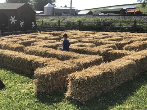 Harvest Background, Farm Playground, Agritourism Farms, Easter Photo Booth, Halloween Farm, Pumpkin Patch Farm, Scare Crow, Fall Fair, Orvis Fly Fishing