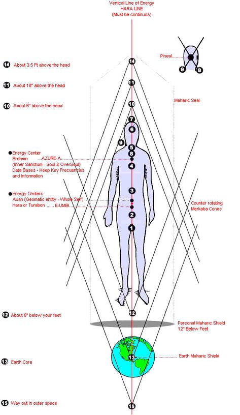 We Actually Have 15 Chakras, Yet Most People Haven’t Heard of the Other Eight – Awareness Act Spiritual Chakras, Chakra Mantra, Transcendental Meditation, Spirit Science, Chakra System, Life Force Energy, Cosmic Energy, Les Chakras, Chakra Meditation