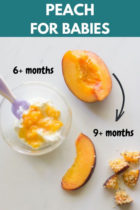 Learn how to safely prepare and serve peach to babies as early as 6 months! You can puree or offer as a finger food for baby led weaning. Finger Food For Baby, Baby Food Breakfast, Toddler Breakfast Recipes, Food For Baby, Baby Led Weaning Breakfast, Baby Led Weaning First Foods, Baby Breakfast, Easy Baby Food Recipes, Baby Led Weaning Recipes