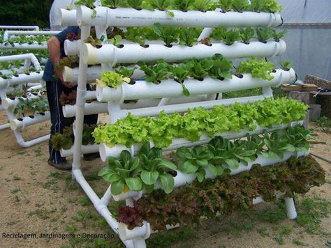 15 Unusual Vegetable Garden Ideas - Counter height garden boxes Pvc Garden, Hydroponic Farming, Vertical Vegetable Garden, Aquaponics System, Diy Gardening, Creative Gardening, Hydroponics System, Hydroponic Gardening, Edible Plants