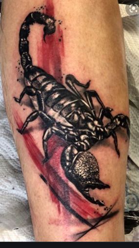 Polka Tattoo, Trash Polka Tattoo, Trash Polka, Piercing Tattoo, Scorpion, Great Artists, I Tattoo, Cool Tattoos, Tattoo Artists