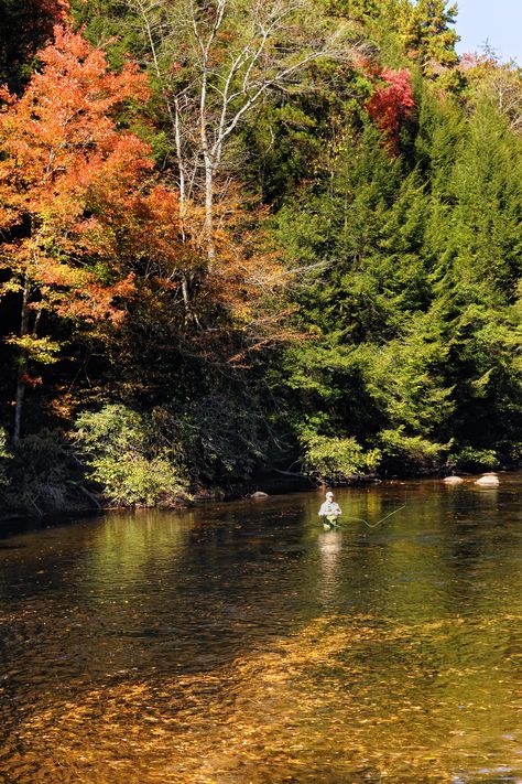 Fall Fly Fishing, Blue Ridge GA Winter Dates, Ga Mountains, Mountain Streams, Blue Ridge Georgia, Oregon Living, Fall Fishing, Blue Ridge Ga, Fall Dates, North Georgia Mountains