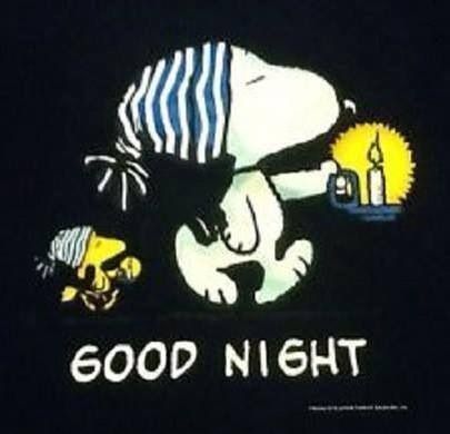 Goodnight Snoopy, Snoopy Funny, Guys Night, Snoopy Images, Peanuts Cartoon, Slaap Lekker, Snoopy Quotes, Snoopy Pictures, Snoop Dog