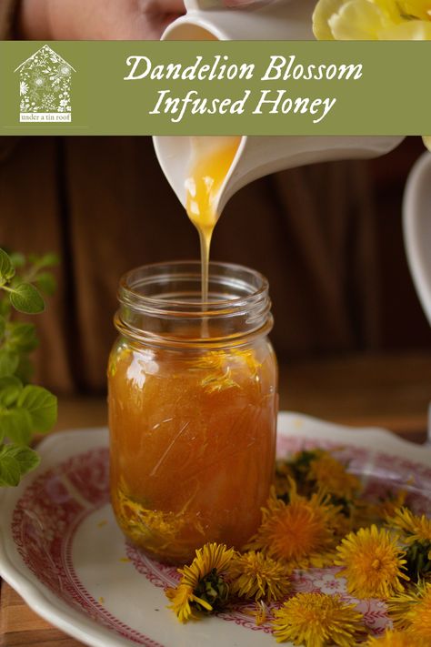 Dandelion Blossom Infused Honey — Under A Tin Roof™ Sweet Spreads, Herb Infused Honey, Dandelion Honey, Home Apothecary, Floral Food, Breakfast Scones, Infused Honey, Iowa Farms, Foraging Recipes