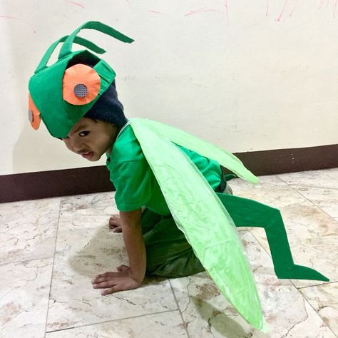 Grasshopper Costume Diy, Grasshopper Costume, Insect Fancy Dress, Mantis Costume, Ant Costume, Insect Dress, Diy Fantasia, Fancy Dress Ideas, Bug Costume