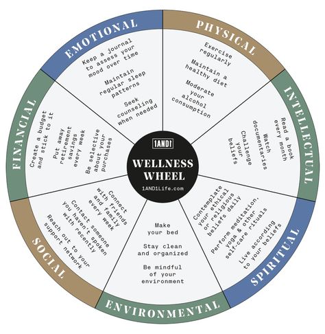 Health Picture, Peer Support Specialist, Life Balance Wheel, Dimensions Of Wellness, Wellness Wheel, Intellectual Health, Balance In Life, Lack Of Energy, Wheel Of Life