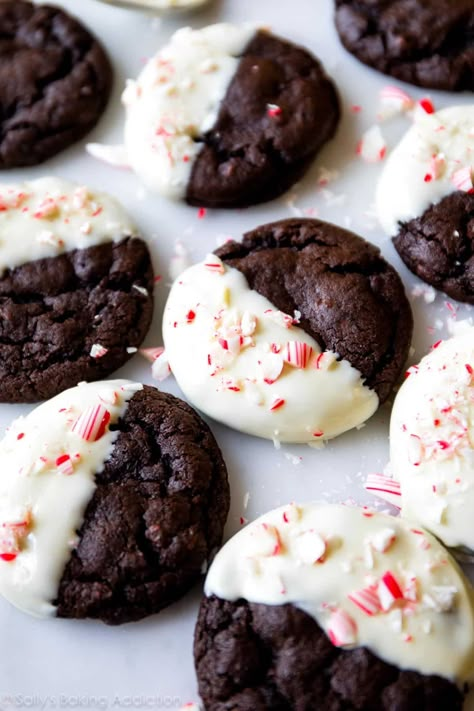 Peppermint Mocha Cookies - Sally's Baking Addiction Peppermint Mocha Cookies, Xmas Cookies Recipes, Peppermint Bark Cookie, Cookies 2023, Christmas Cookies And Treats, Sallys Baking, Xmas Cookie, Mocha Cookies, Chocolate Peppermint Cookies