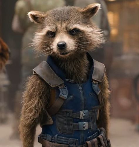 Racoon Tattoo, Male Cartoon Characters, Groot Marvel, Rocket Raccoon, Trash Panda, Mighty Morphin Power Rangers, Racoon, Avengers Assemble, Guardians Of The Galaxy