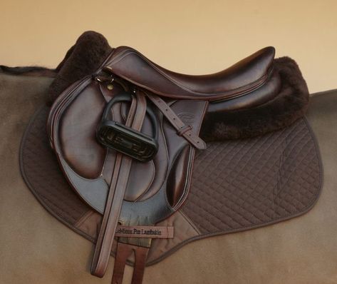 English Horse Tack, Equestrian Helmets, Equestrian Aesthetic, Jumping Saddle, Riding Clothes, Equestrian Helmet, Horse Fashion, Equestrian Fashion, Horse Equipment