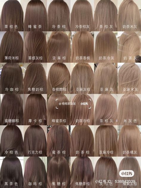 Mouse Brown Hair Color, Light Brown Hair Japanese, Korean Hair Dye Ideas, Xiaohongshu Hair, Mouse Brown Hair, Japanese Hair Dye, Milky Brown Hair, Korean Haircare, Curly Dyed Hair