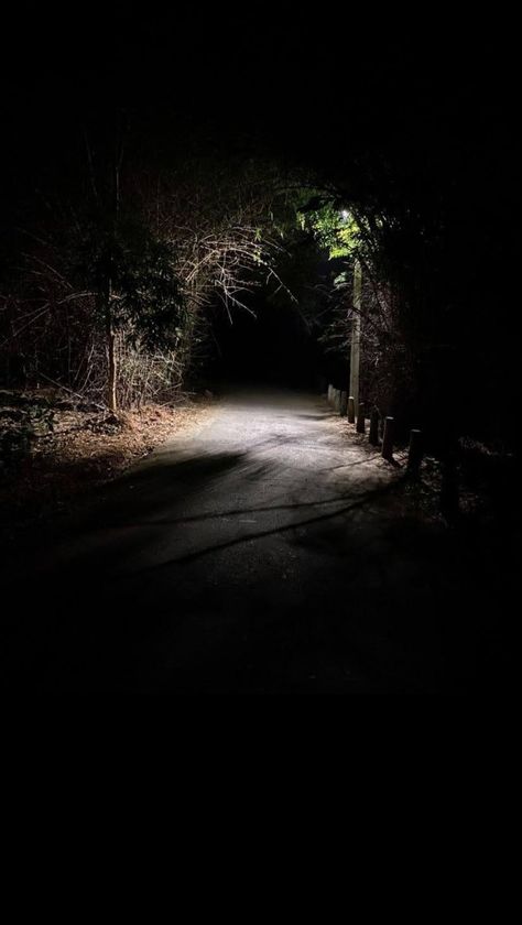 Scary Woods, Walking Pictures, Midnight Walk, Tesla Quotes, Dark Outside, Night Walks, Outdoor Pictures, Urban Lighting, Night Forest