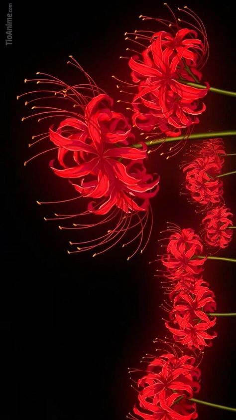 Redwallpaper Aesthetic, Tokyo Ghoul Flower, Vintage Wallpaper Iphone, Tokyo Gul, Whats Wallpaper, Lily Wallpaper, Red Spider Lily, Tokyo Ghoul Wallpapers, Lily Tattoo