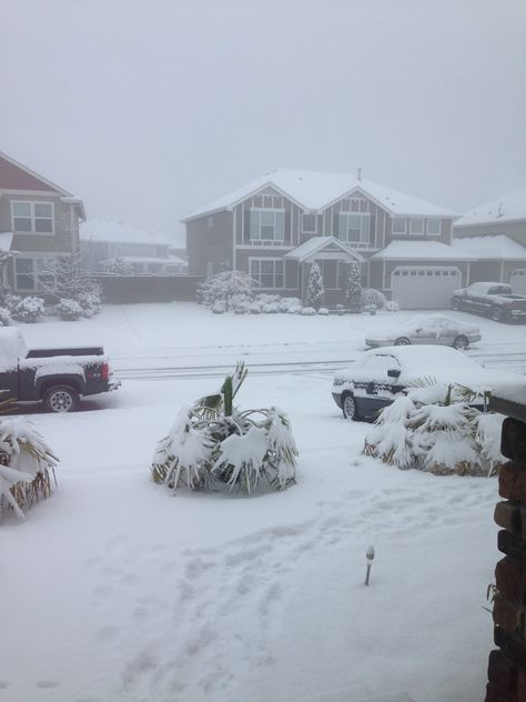 Puyallup snow. Puyallup Washington, Back In Time, Washington State, Washington