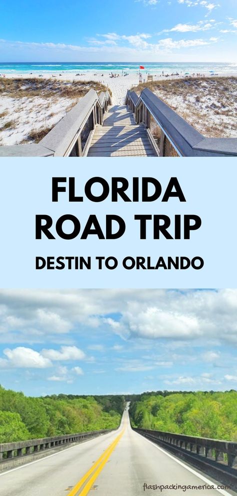 things to do in florida. florida panhandle. central florida. florida beaches. florida springs. florida caves. florida camping. outdoor travel. disney world. us travel destinations. usa. america. beach vacation. gulf coast florida. destin. panama city beach. pensacola. tallahassee. ocala national forest. driving from alabama. Panhandle Florida, Florida Caverns State Park, Places To Visit In Florida, Florida Road Trip, Florida Destin, Things To Do In Florida, Destin Florida Vacation, Blue Springs State Park, Ocala National Forest