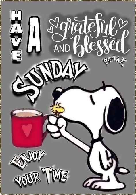 Sunday Morning Funny Quotes, Snoopy Sunday Mornings, Peanuts Gang Quotes, Sunday Snoopy, Snoopy Sunday, Good Morning Sunday Blessings, Sunday Morning Humor, Charly Brown, Cat Birthday Greetings