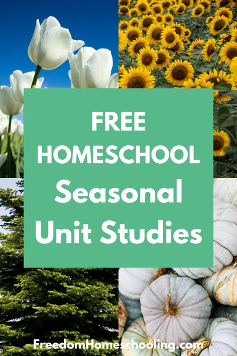 Free unit studies and lessons for each month. Includes holidays, historical events, seasonal themes, monthly themes, & more! Christian Homeschool Curriculum, Kindergarten Homeschool Curriculum, Outdoor Learning Activities, Kindergarten Units, Unit Studies Homeschool, Free Homeschool Resources, Homeschool Education, Unit Studies, Homeschool Learning