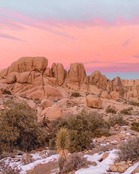 Canyon Moon, Desert Aesthetic, Split Rock, Desert Dream, Prim Christmas, Trees Nature, Desert Vibes, Old Trees, Joshua Tree National Park