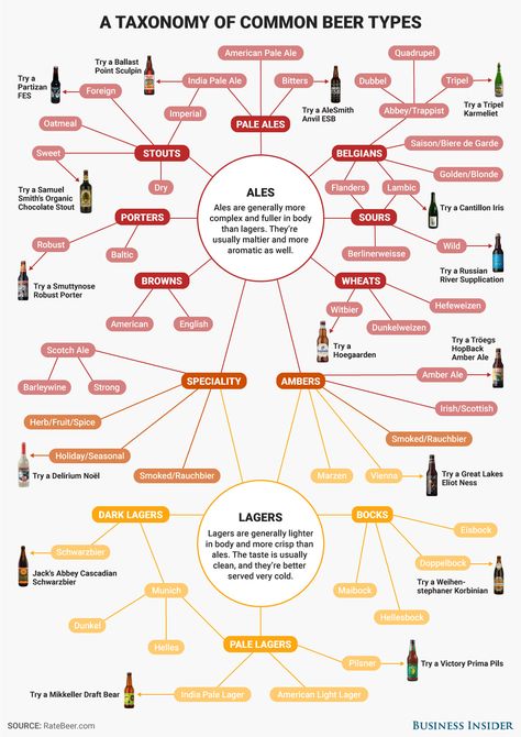 Everything you need to know about beer - Business Insider Beer Chart, Beer Production, Beer Facts, Different Types Of Beer, Beer Types, Beer Guide, Types Of Beer, Beer Making, American Beer