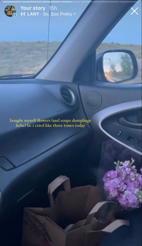 Long Drive Instagram Stories, Night Drive Caption, Trader Joes Flowers, Snaps Stories, Buy Yourself Flowers, Sunset Drive, Store Aesthetic, Aesthetic Captions, Caption For Friends