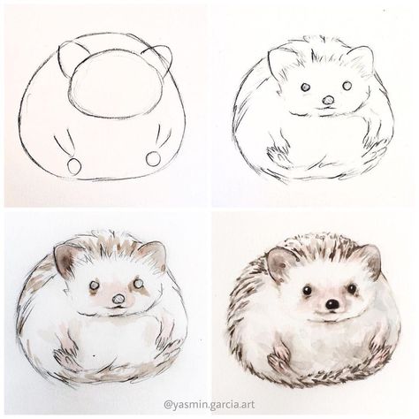 Animal Drawing Ideas, Trin For Trin Tegning, Hedgehog Drawing, 강아지 그림, Animal Drawing, Hedgehog Art, Watercolor Paintings Tutorials, Watercolor Art Lessons, Arte Sketchbook